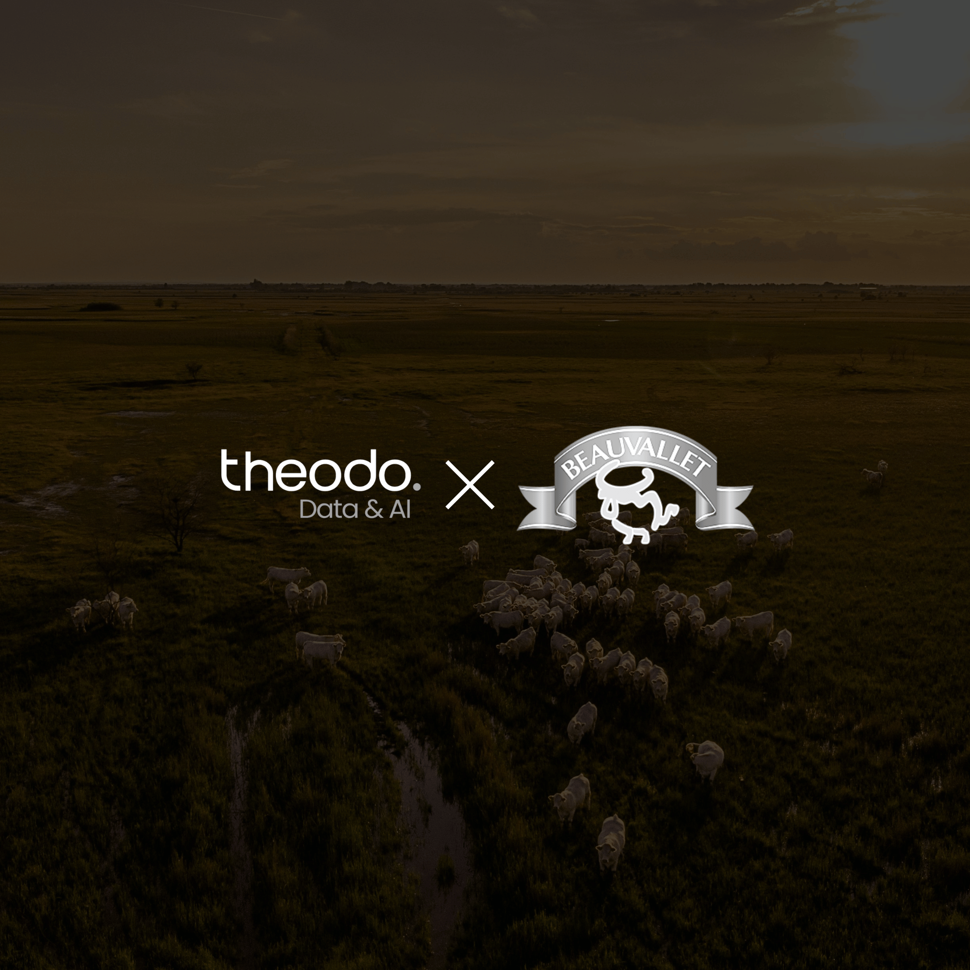 Beauvallet-recommendation-engine